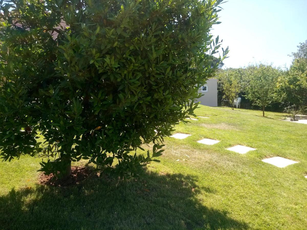 Casal Do Pinheiro Villa Óbidos Kültér fotó